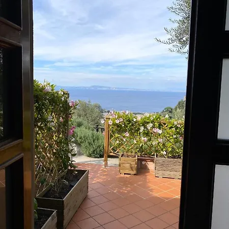Orange Moderno Tra Gli Ulivi Di بيت للعطل