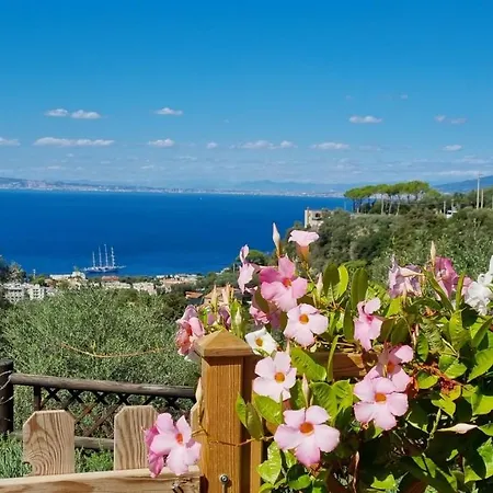 Orange Moderno Tra Gli Ulivi Di