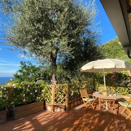 Orange Moderno Tra Gli Ulivi Di Feriehus Sorrento