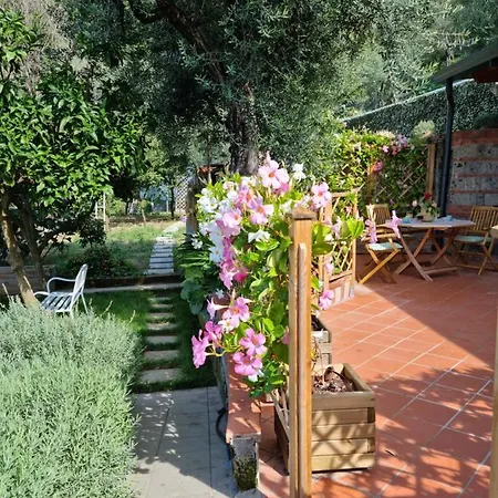 Feriehus Orange Moderno Tra Gli Ulivi Di