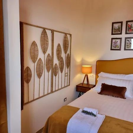 Orange Moderno Tra Gli Ulivi Di Feriehus Sorrento