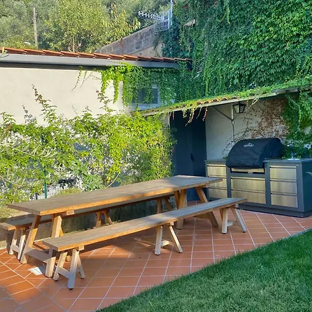 Orange Moderno Tra Gli Ulivi Di *