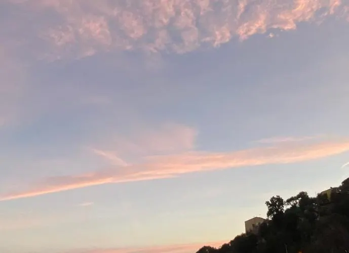 Orange Moderno Tra Gli Ulivi Di Σπίτι διακοπών *