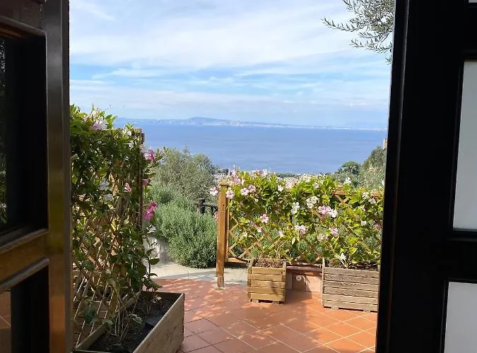 Orange Moderno Tra Gli Ulivi Di Σπίτι διακοπών