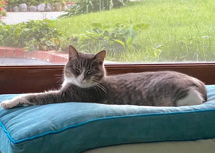 Orange Moderno Tra Gli Ulivi Di بيت للعطل *