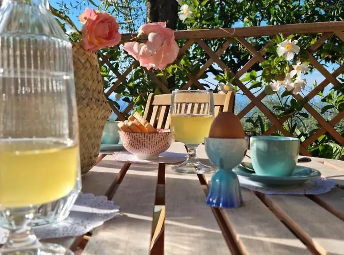 Orange Moderno Tra Gli Ulivi Di Σορέντο