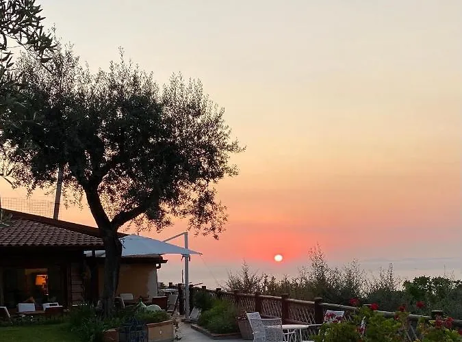 Orange Moderno Tra Gli Ulivi Di *