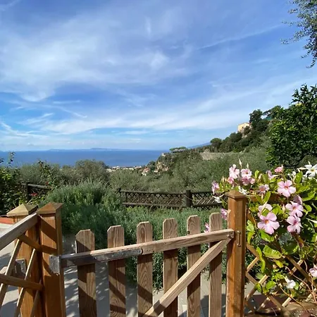 Orange Moderno Tra Gli Ulivi Di بيت للعطل *