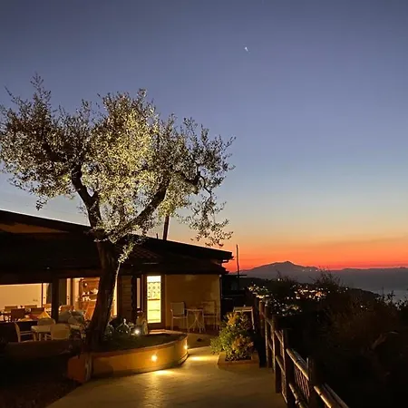 Orange Moderno Tra Gli Ulivi Di