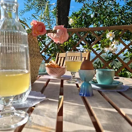 Orange Moderno Tra Gli Ulivi Di Σορέντο