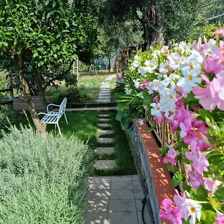 Orange Moderno Tra Gli Ulivi Di * سورينتو