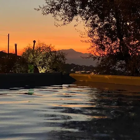 Orange Moderno Tra Gli Ulivi Di بيت للعطل