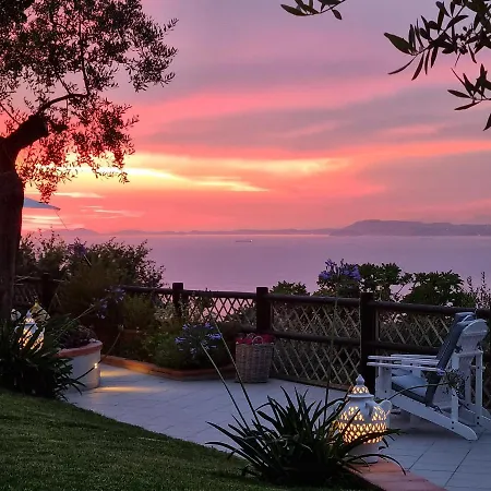 Orange Moderno Tra Gli Ulivi Di بيت للعطل *