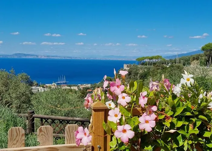 Orange Moderno Tra Gli Ulivi Di