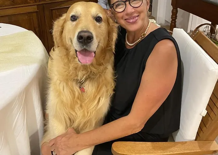 Orange Moderno Tra Gli Ulivi Di Feriehus *