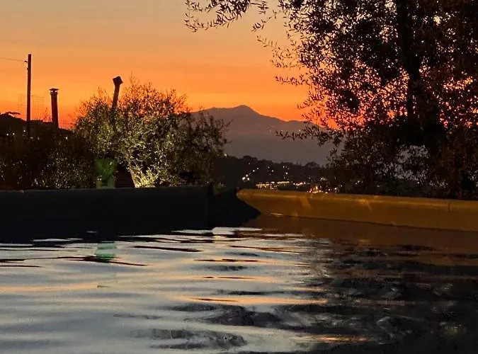 Orange Moderno Tra Gli Ulivi Di Feriehus